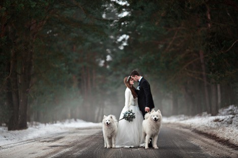 Include your dog in your wedding