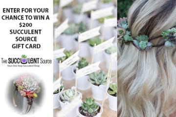 Wedding Giveaway from The Succulent Source