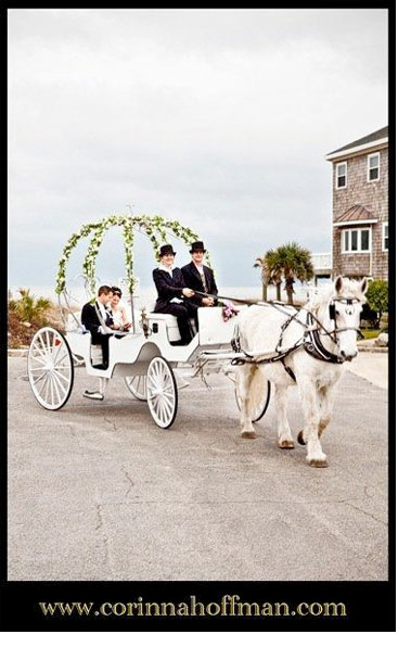 Horse Carriage