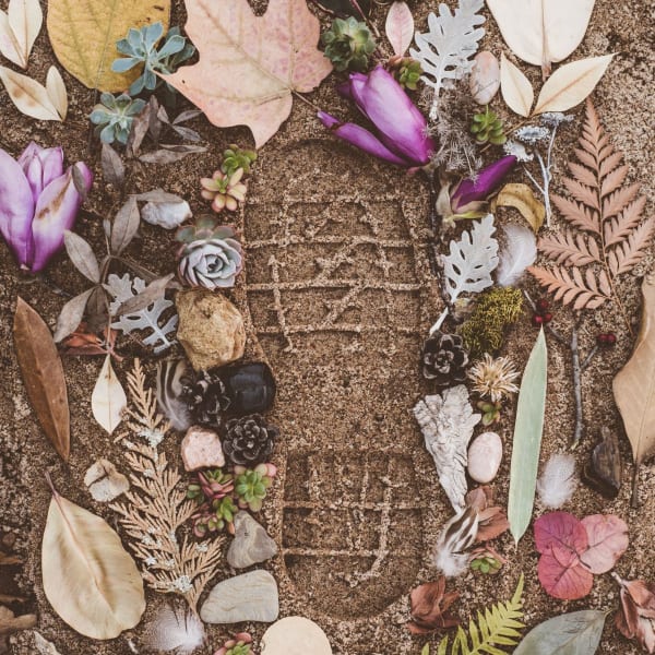 wedding carbon footprint