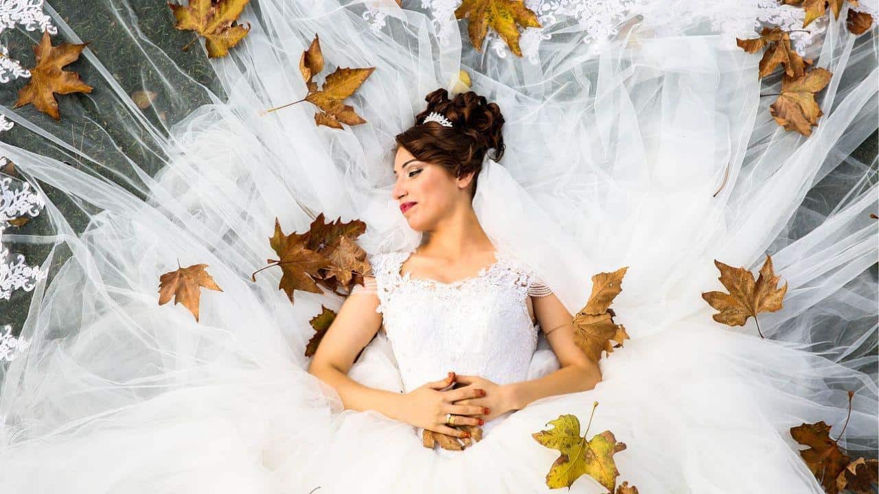 slim fit dress slacks Autumn Leaves Falling Veil | TAN TULLE